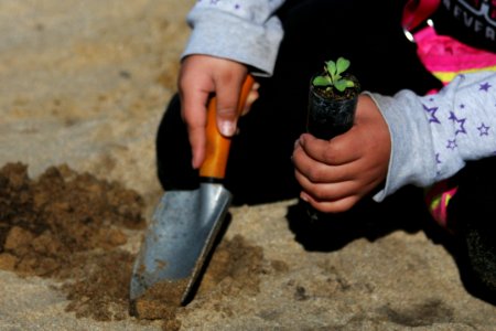 Seven-year-old Mairenee holds a shovel in one hand and plant in the other.