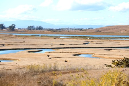Elkhorn Slough designated "Wetland of International Importance"