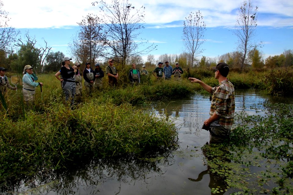 Touring Doty Ravine Floodplain