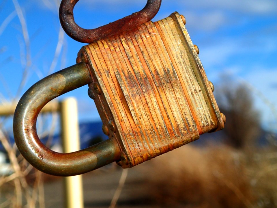 2015/365/39 Rust Never Locks