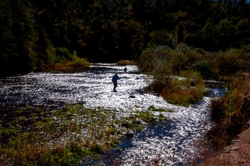 Fishermen in Clear Creek