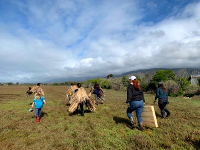 Group transports material for rail nesting platform