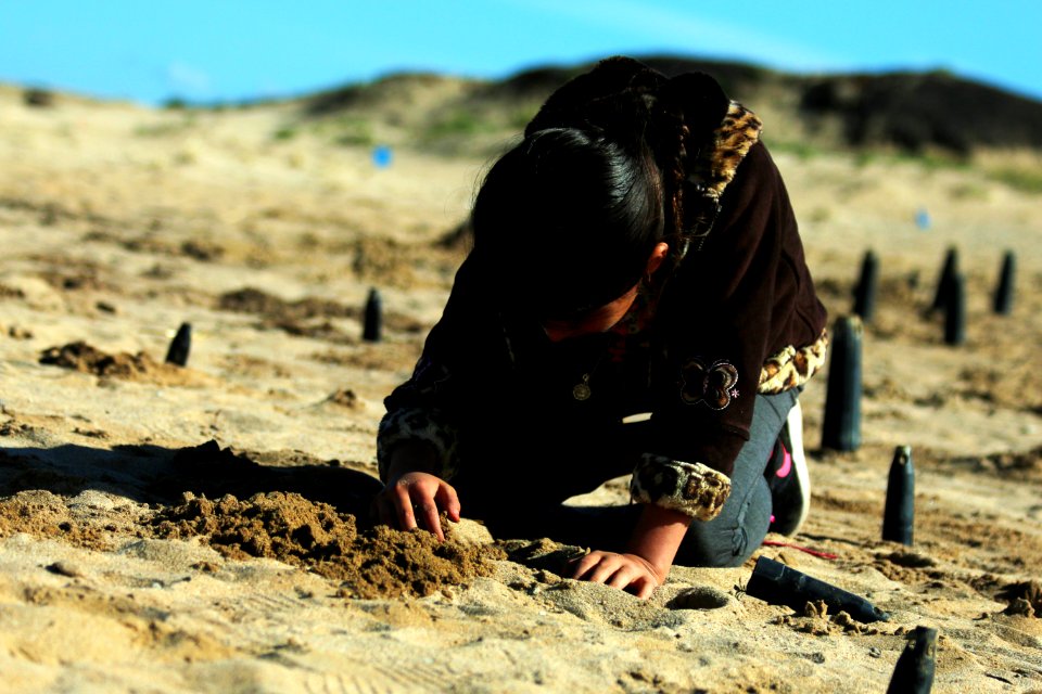 A young girl attentively admires her recently dug hole where she will place a coastal dune plant.