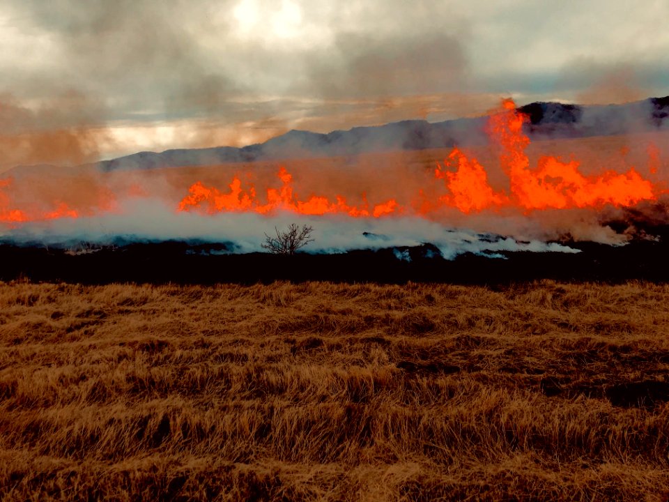 Prescribed burns at Ruby Lake National Wildlife Refuge