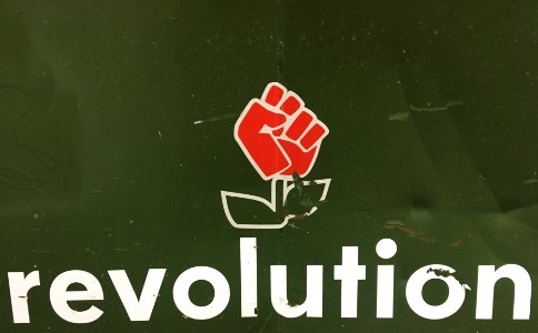 It's a Revolution photo