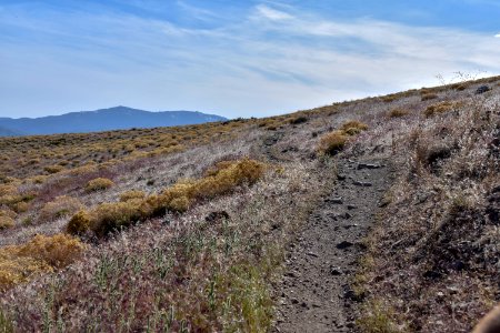 Landscape covered in invasive cheatgrass near Reno, Nevada photo