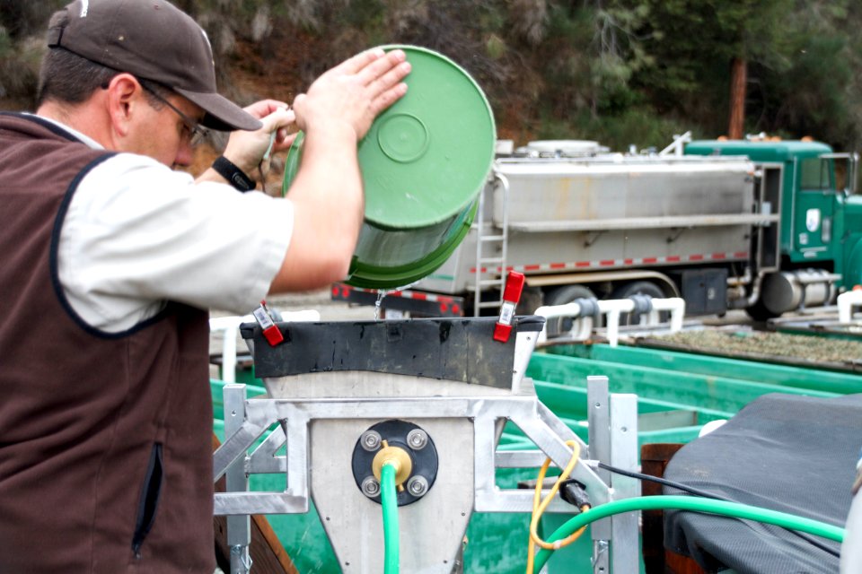 Emptying the bucket
