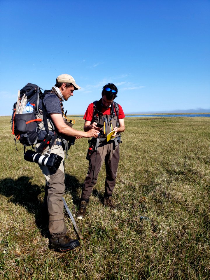2019 Arctic Virtual Bird Fest