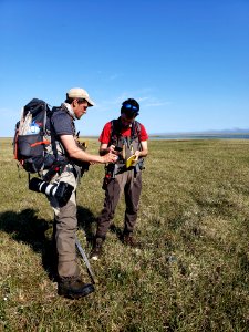 2019 Arctic Virtual Bird Fest
