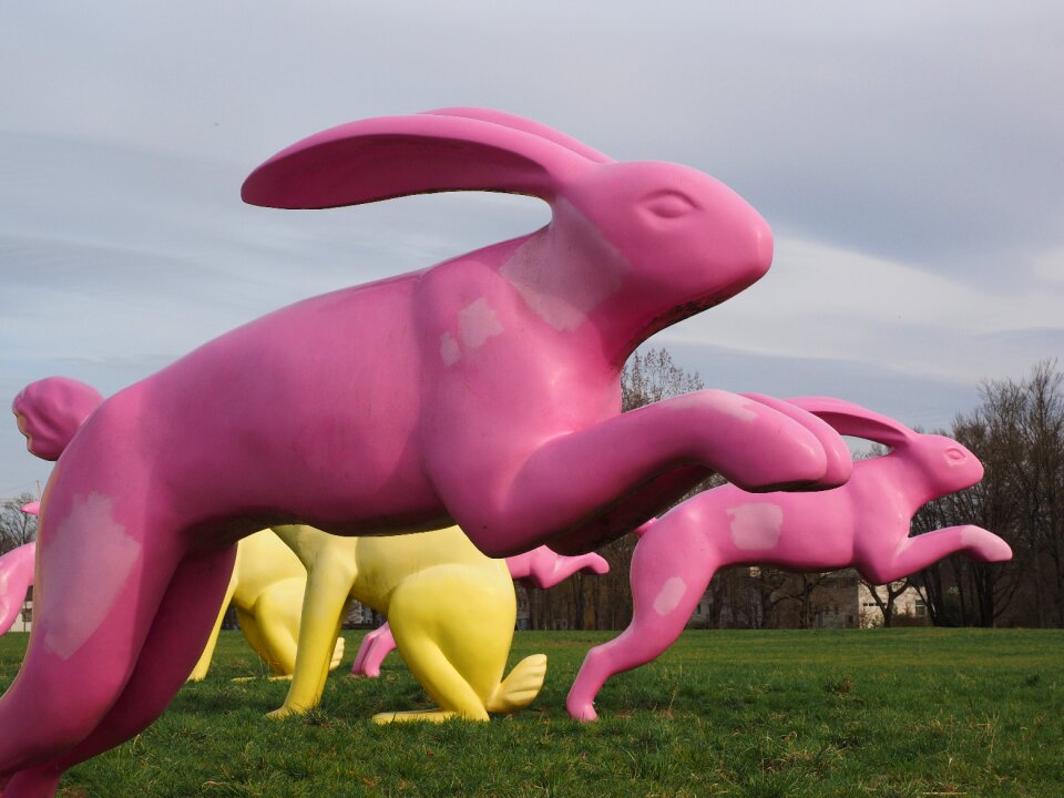 Running away bounce away pink
