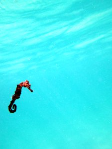 Seahorse photo