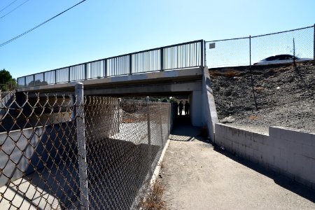 Trabuco Creek runs along the lefthand side of the fence, underneath the concrete bridge in San Juan Capistrano. Steelhead would be unable to pass through this portion of the watershed without significant changes to the design of this overpass.