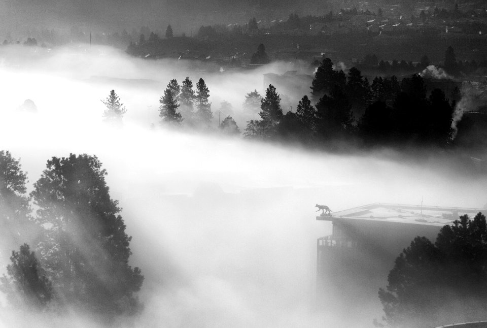 2015/365/47 Campus Obscura