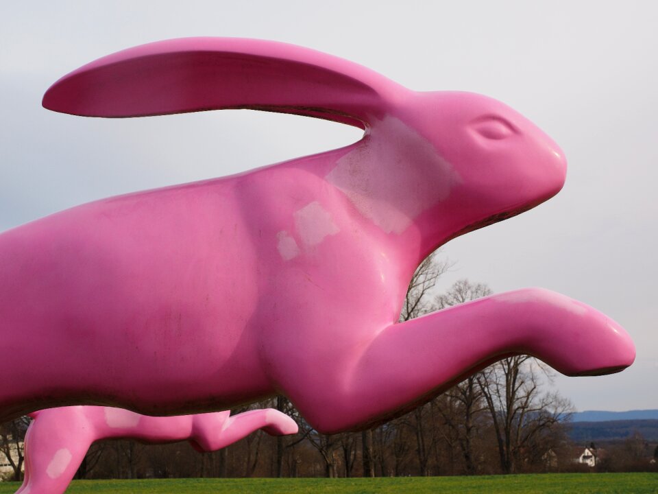 Running away bounce away pink