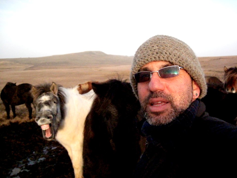 Is That Horse Laughing at Me?