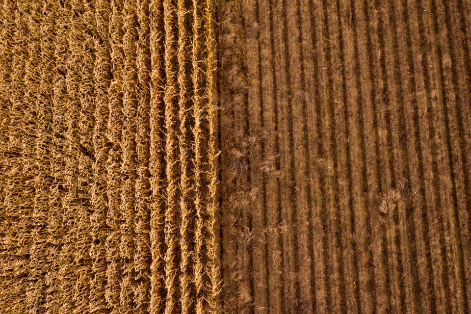 20191022-NRCS-LSC-0980