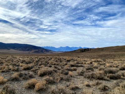 Sagebrush and the Sierra Nevada mountain range