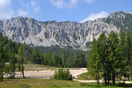 Sneak alpine nature