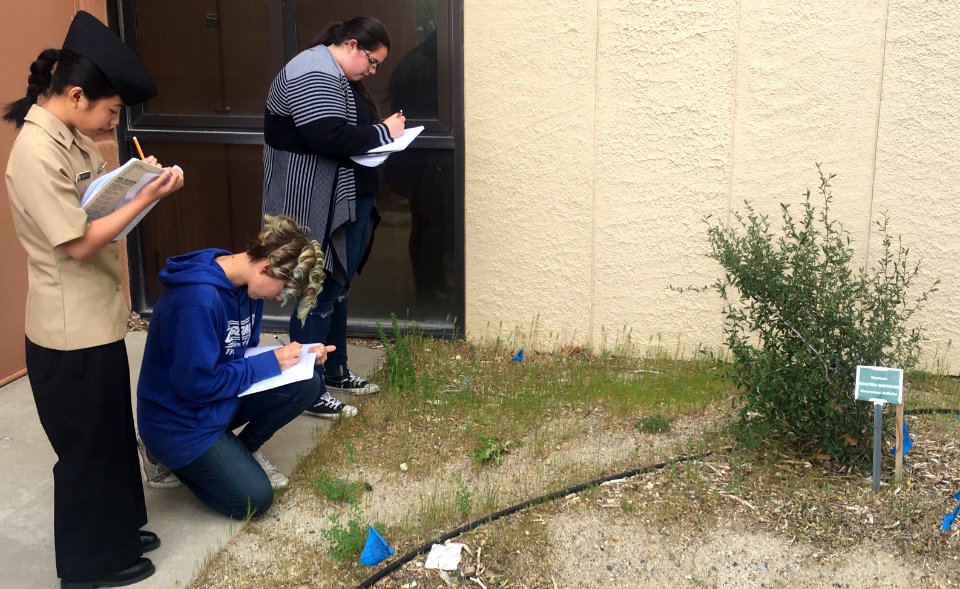 Carson City High School Students in habitat