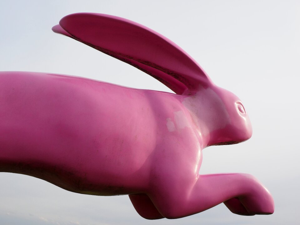 Running away bounce away pink