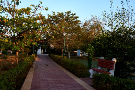 Kotturpuram Tree Park
