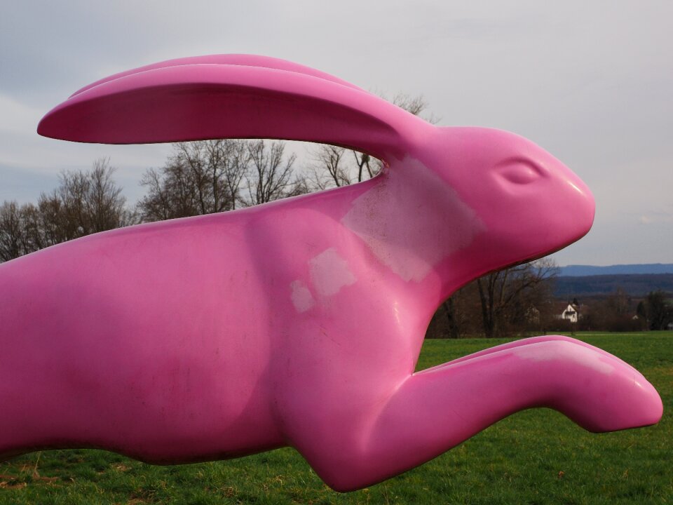 Running away bounce away pink