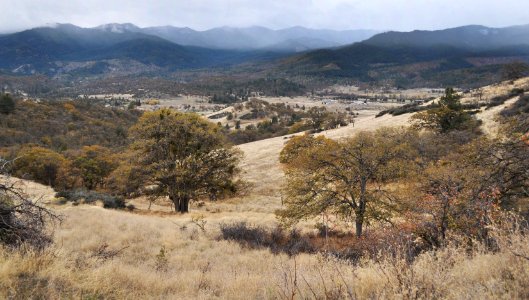 Colestin Valley facing east photo