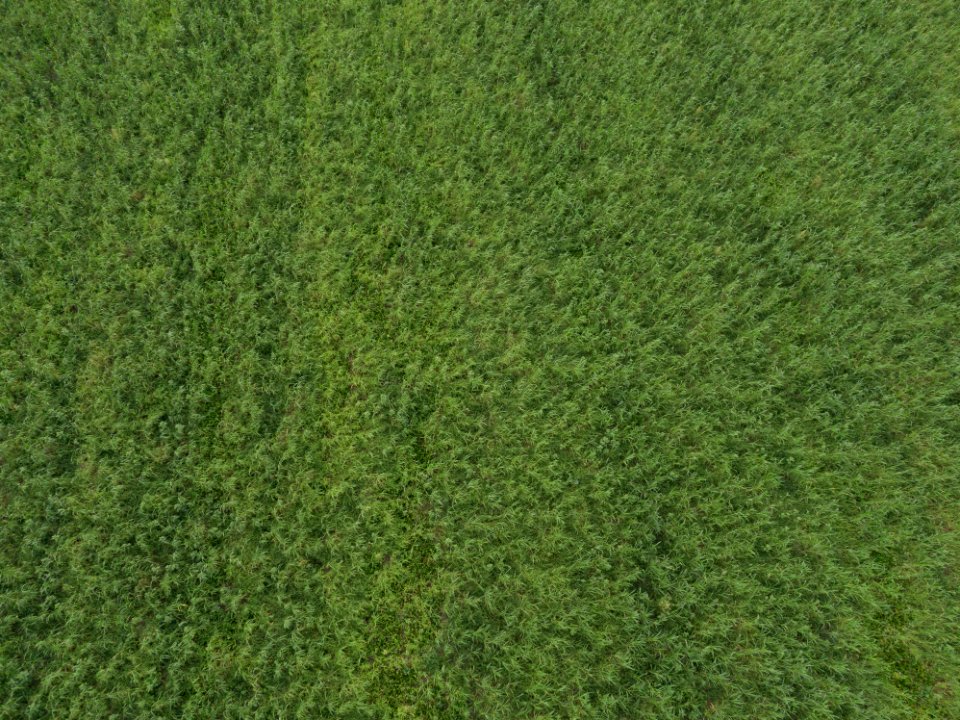20190920-NRCS-LSC-0131