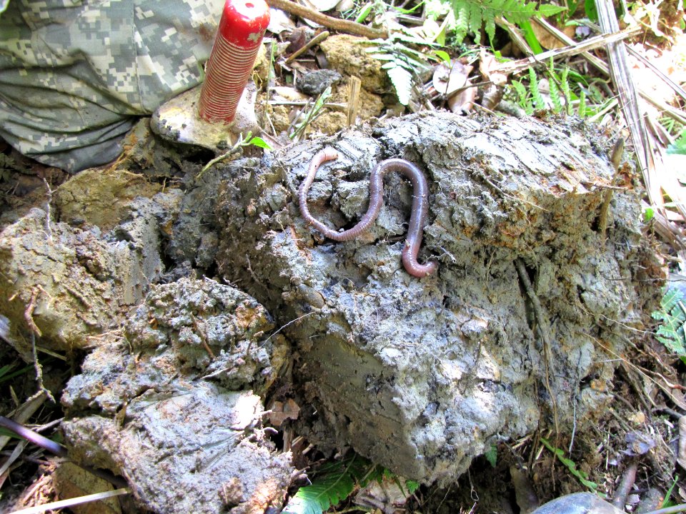 20100410-SR-NRCS-001.jpg