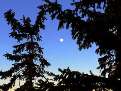 Morning Moon Frame