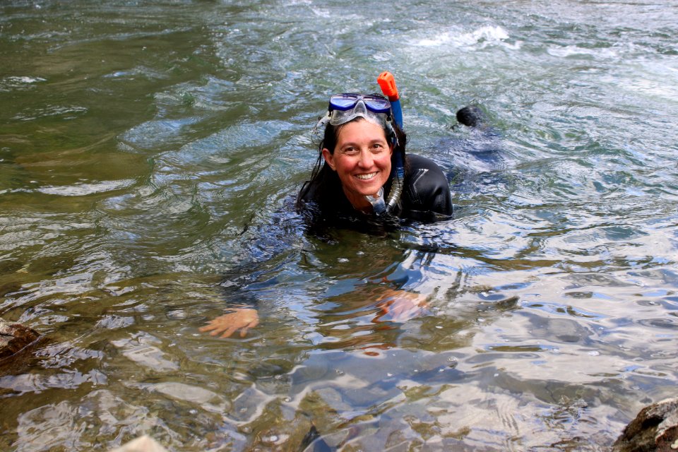 Biologist snorkeling in Clear Creek