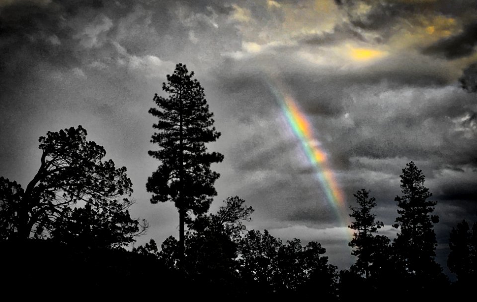 Seeking Light in Dark Times