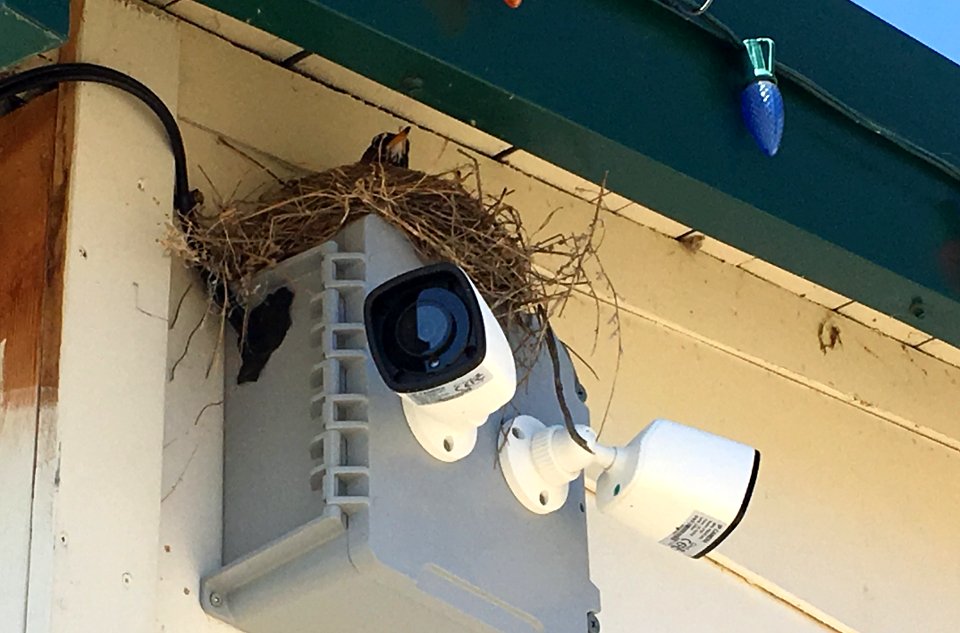 2019/365/143 Above Surveillance