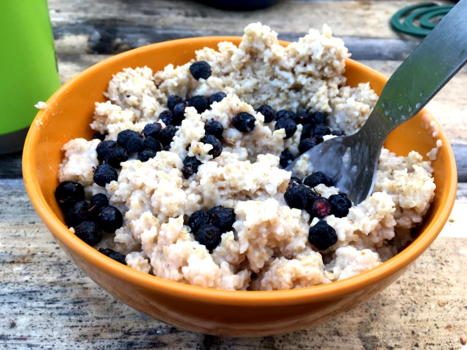 Saskatoon Berry Oatmeal
