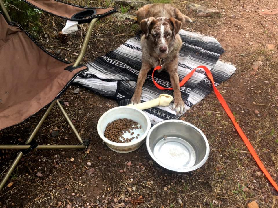 Camping is Better With a Big Bone