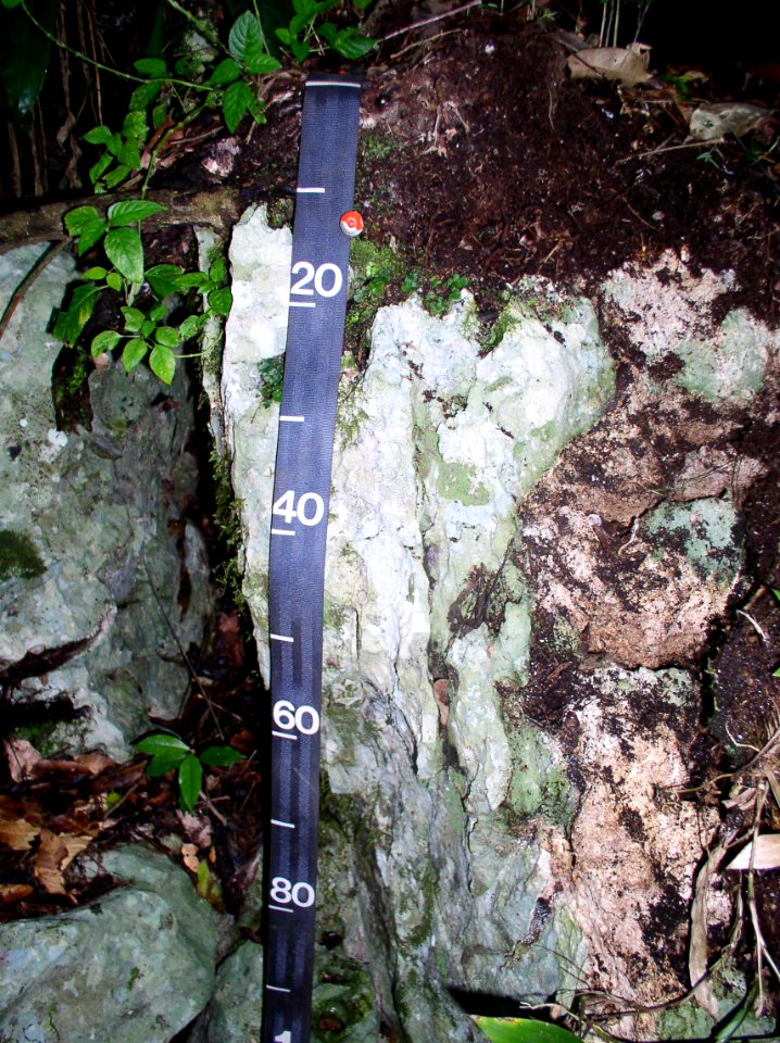 20031020-SR-NRCS-001.jpg