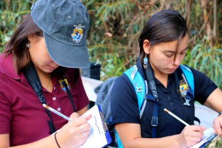 USFWS biologists Kendra Chan (left) and Karen Sinclair (right) record data on overwintering monarchs at Camino Real Park.