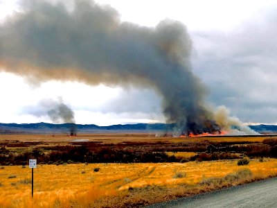 Faraway shot of prescribed burn