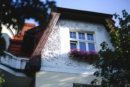 White window flowers photo