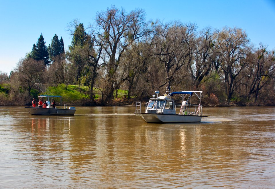 Enhanced Delta smelt monitoring
