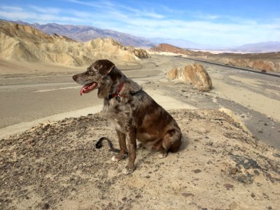 Not Impressed with Death Valley photo