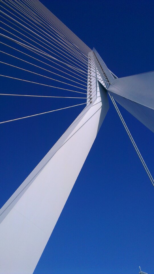 Swan erasmus bridge air