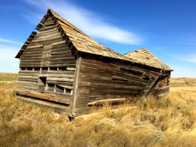 Roof Work?