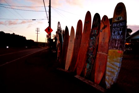 Friends Don't Let Friends SUP photo