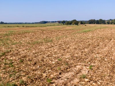 20190918-NRCS-LSC-0816