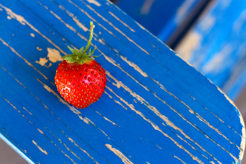 2016/366/261 Picking Strawberries (well Strawberry, only 1) Into September