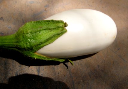 A New Veggie is Hatched