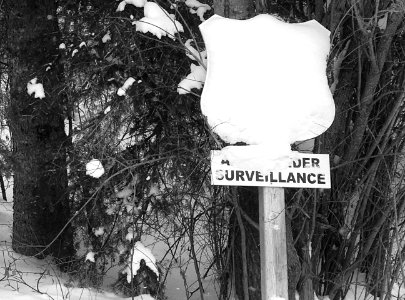 Snowveillance