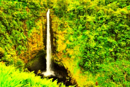 Akaka Falls photo