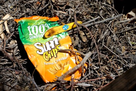 2010/365/117 Wither the Chip Bag photo